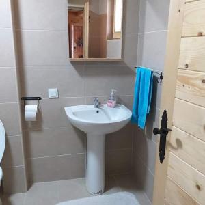 La salle de bains est pourvue d'un lavabo et de toilettes. dans l'établissement Brvnara Vrdnik, à Vrdnik