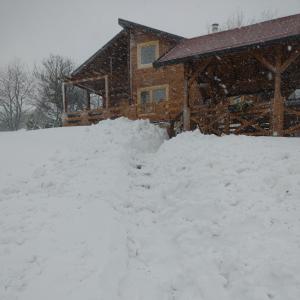 Το Brvnara Vrdnik τον χειμώνα