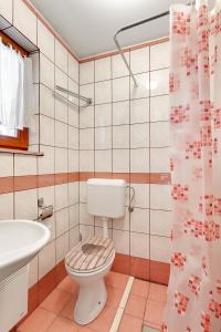 y baño con aseo, lavamanos y cortina de ducha. en Vineyard Cottage Tramte, en Škocjan