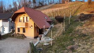 una pequeña casa amarilla en una colina junto a un viñedo en Vineyard Cottage Tramte, en Škocjan