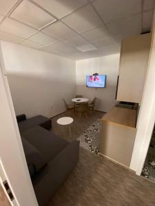Televízia a/alebo spoločenská miestnosť v ubytovaní Centrum Apartman LEYLA I