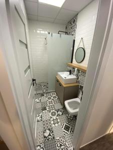 a bathroom with a toilet and a sink at Centrum Apartman LEYLA I in Bardejov