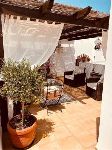 a patio with a chair and a potted plant at Hostal Boutique Plaza Cantarero in Nerja