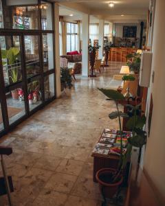 a living room with a plant in the middle at Kallithea INN in Platres