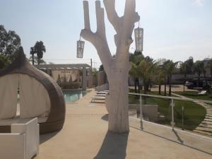 The swimming pool at or close to Sant Isidoro suite
