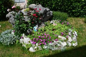Ein Garten an der Unterkunft Apartments Knežević