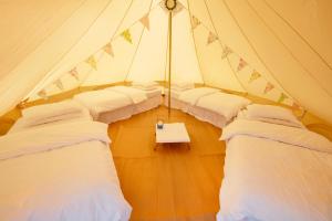 a room with four beds in a tent at Nine Yards Bell Tents at the TT in Castletown