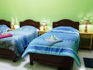 een slaapkamer met 2 bedden en 2 tafels met lampen bij Tierra Nuestra in Tarija