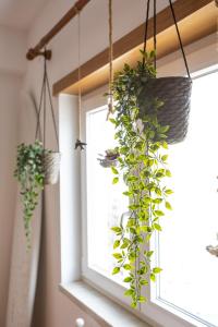 two potted plants hanging from a window at Spacious Beach Flat in Costa Caparica by SoulPlaces in Costa da Caparica