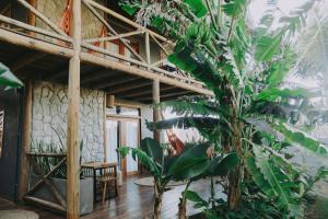 um quarto com um monte de plantas e um edifício em Pousada Jardim do vento em Icaraí