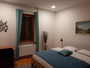Gallery image of Triglav Apartment House in Kranj