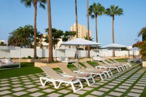 a row of lounge chairs and umbrellas at a resort at Olé Tropical Tenerife Adults Only in Playa de las Americas