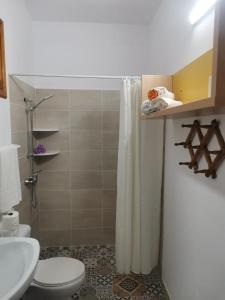 a bathroom with a shower and a toilet and a sink at CHALET CON JACUZZI CLIMATIZADO, BARBACOA Y CERCA DE LA PLAYA in Abades