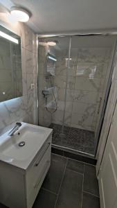 ein Bad mit einer Dusche, einem Waschbecken und einer Glasdusche in der Unterkunft Studio Deluxe Marc in Straßburg