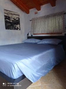 a bedroom with a bed with a blue comforter at Torrent du Chateau casa vacanze in Aosta