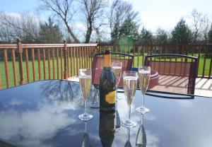 einen Tisch mit Weingläsern und eine Flasche Champagner in der Unterkunft Ryedale Lodge with Hot Tub in Malton