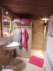 a bathroom with a sink and two bunk beds at Elbenland Apartments & Bungalows in Bad Schandau