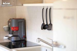 A kitchen or kitchenette at Appartamenti Green by Livigno Accomodation