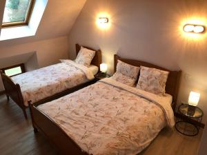 1 dormitorio con 2 camas y 2 lámparas en la pared en Le Relais des Sites en Faverolles