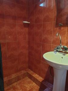 ein Badezimmer mit einem weißen Waschbecken und einer Dusche in der Unterkunft Apartmnet on Machabeli 20 in Tbilisi City + 25 Fotos