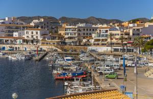 Naturlandskabet i nærheden af lejligheden