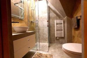 een badkamer met een douche, een toilet en een wastafel bij Przystanek Szaflary -luksusowy apartament w górach in Szaflary