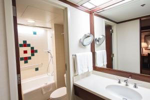 a bathroom with a sink and a toilet and a mirror at Alyeska Resort in Girdwood