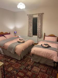 a bedroom with two beds and a window at Grogagh Hill Cottage in Sligo