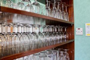 a bunch of glasses on shelves in a room at Bryn Noddfa in Morfa Nefyn
