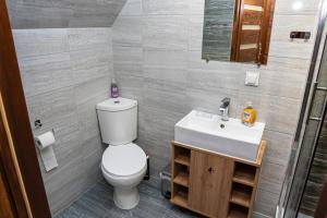 łazienka z toaletą i umywalką w obiekcie Noclegi Olszówka w Bukowinie Tatrzańskiej