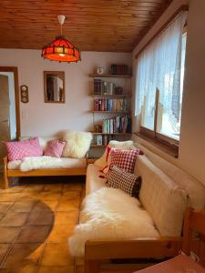 a living room with a couch and a book shelf at Gemütliche Wohnung mit Traumaussicht! in Albinen