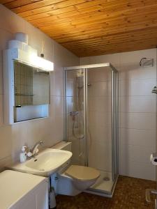 A bathroom at Gemütliche Wohnung mit Traumaussicht!