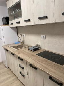 a kitchen with a sink and a counter top at Garsonierele Scandinav in Predeal