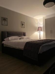 a bedroom with a large bed and a lamp at Garsonierele Scandinav in Predeal