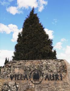 een grote dennenboom achter een stenen muur met een bord bij Villa Auri in Vila Nova de Foz Coa