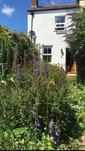 a garden with flowers in front of a house at 1 Laurel Cottages in Dawlish