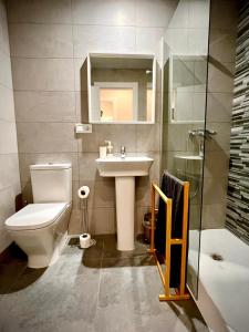 a bathroom with a toilet and a sink and a shower at Apartamento Jazmín in Córdoba