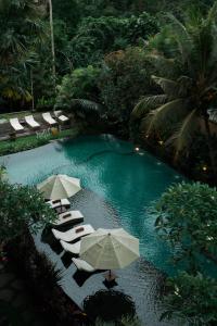 a swimming pool with chairs and umbrellas in a resort at The Udaya Resorts and Spa in Ubud