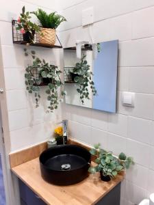 a bathroom with a black sink and some plants at Le Petit Figuier in Villefranche-du-Périgord