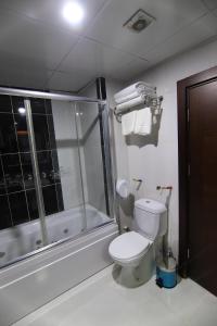 La salle de bains est pourvue d'une douche et de toilettes blanches. dans l'établissement SARDUR HOTEL, à Bostaniçi