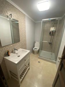 W łazience znajduje się umywalka, prysznic i toaleta. w obiekcie Casa Ambientt w mieście Albestii de Arges