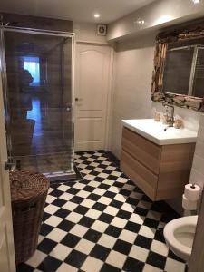 a bathroom with a shower and a checkered floor at 't Molentje in Zandvoort