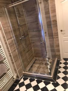 a shower with a glass door on a checkered floor at 't Molentje in Zandvoort