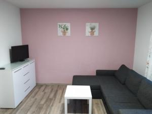 TV a/nebo společenská místnost v ubytování Apartmány Kovadlina 4