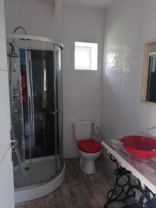 ein Bad mit einer Dusche, einem WC und einem Waschbecken in der Unterkunft lou pitchou prats in Audon