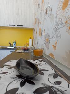 Een keuken of kitchenette bij Apartman Studio LASTIN PUT Divčibare