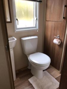a bathroom with a white toilet and a window at River View in Dunoon