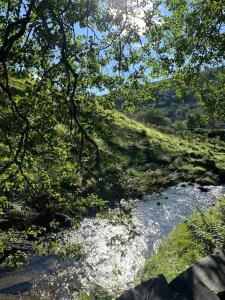 a stream of water next to a hill with trees at Yr Hen Siop - 4 bed welsh cottage in Snowdonia in Penmachno