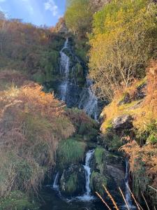 a waterfall on the side of a hill with trees at Yr Hen Siop - 4 bed welsh cottage in Snowdonia in Penmachno