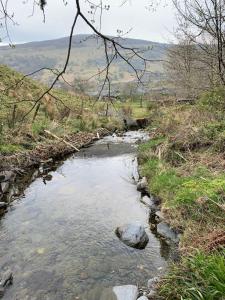 a stream of water with rocks in a field at Yr Hen Siop - 4 bed welsh cottage in Snowdonia in Penmachno